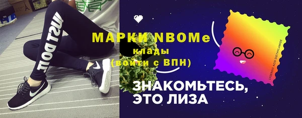 гашик Каменногорск