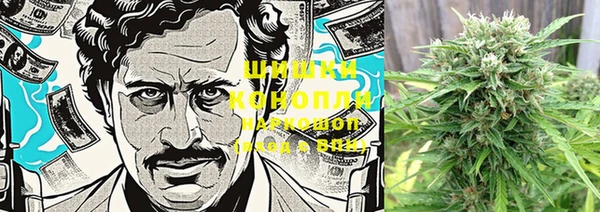 PSILOCYBIN Инсар