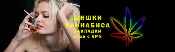 PSILOCYBIN Инсар