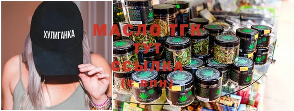 мет Инта