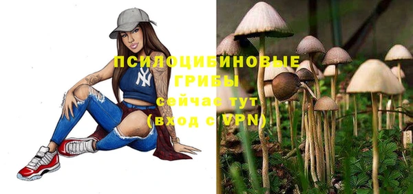 PSILOCYBIN Инсар