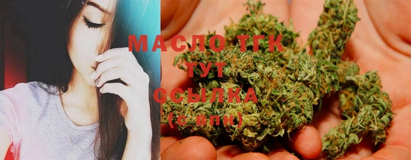 мет Инта