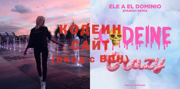 мет Инта