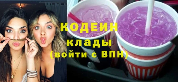 мет Инта
