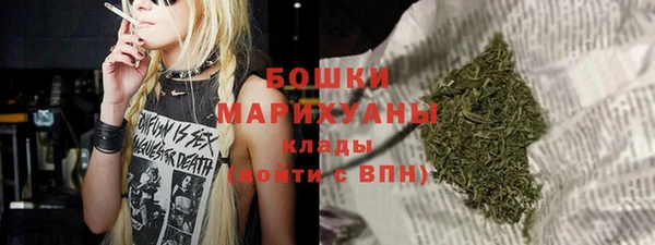 PSILOCYBIN Инсар