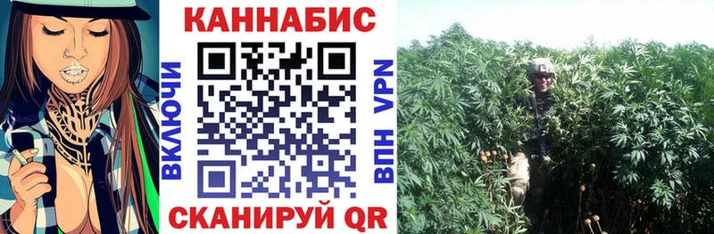 Шишки марихуана марихуана  Купить где  Нижний Ломов 